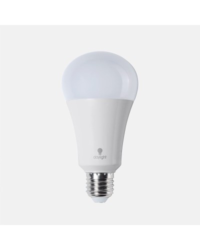 Daylight 15w LED Bulb D15500