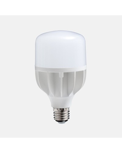 Daylight 18w LED Bulb E15800